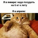 ���� ����, ������, 58 ��� - ��������� 1 ������ 2026 � ������ ������ ��������