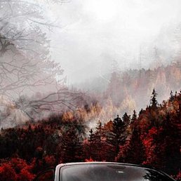 �������, ����, 35 ���