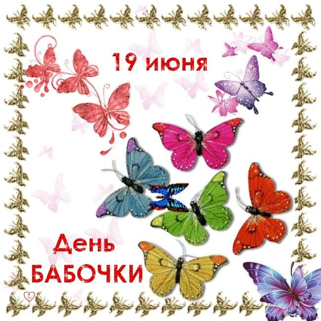 Бабочки – одно из самых удивительных и красивых творений природы. Крохотные и гигантские, ночные и ...