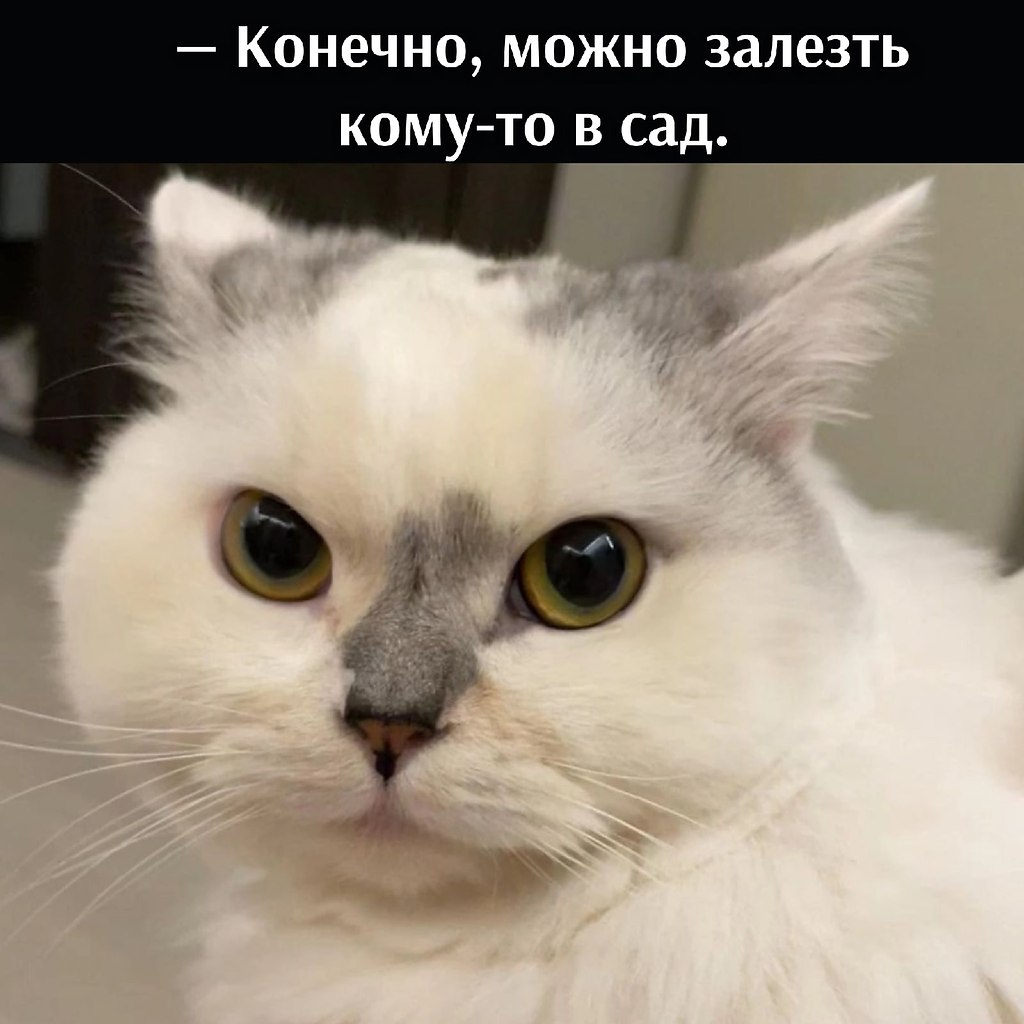       - 8  2025  21:06 - 2