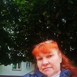 , 55, 