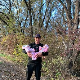 ��������, ����������, 40 ���