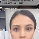 ���� ����, ������, 40 ��� - ��������� 28 ������� 2024