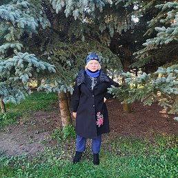 ����, �����-���������, 61 ���