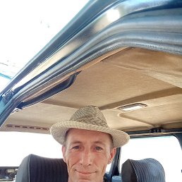 , 41, 