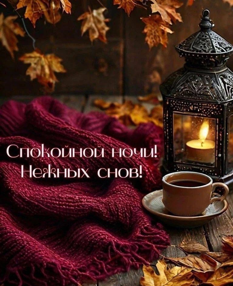   ,    . - 27  2025  22:21