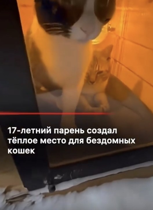 ������� ����� �������� ������� ������ ��� ������� ��������� ����� ������� ������� ��������. ���� �� ... - 2