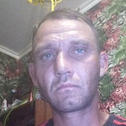 ������, ������������, 37 ���