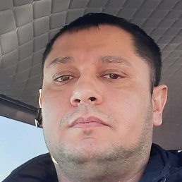 ����, �����-���������, 38 ���