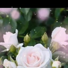 ����, ������, 56 ���