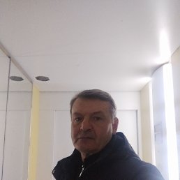 , 52, 