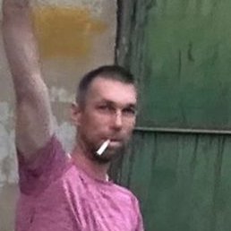 ������, �������, 38 ���