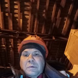 ������, 41 ���, ������