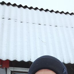 ���� ������, �����, 42 ���� - ��������� 30 ������� 2025