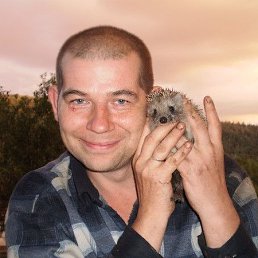 ������, 48 ���, ������