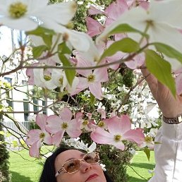 , 52, 