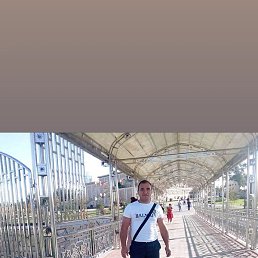 ������, �����, 44 ����