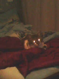 .��������� 333 - 19 ������ 2025 � 14:47