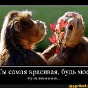 ���� �������, ����������� - ��������� 1 ������� 2025 � ������ ������ ��������