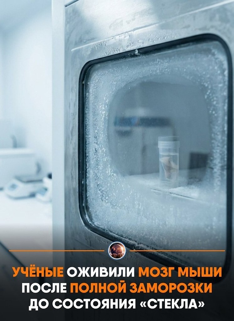 e�e���e �cc�e�o�a�e�� �a�opo���� �o�� ���� �e� �p�c�a��o� ���a, a �a�e� pa��opo���� e�o. oc�e ��o�o ...