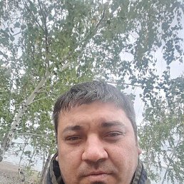 , 37, 