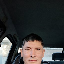 ������, 48 ���, �������