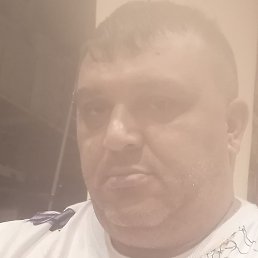 �����, ������, 48 ���