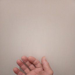 ����, ������, 37 ���
