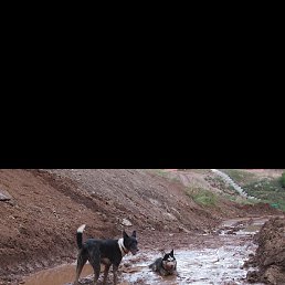 �������, ������, 30 ���