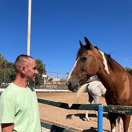 �������, �����-���������, 53 ����