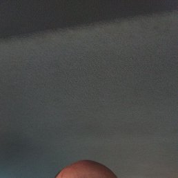 , 41, 