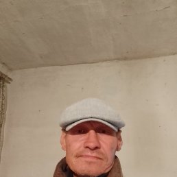 , 52, 