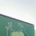 ���� ������� ���������, ������, 41 ��� - ��������� 4 ����� 2026