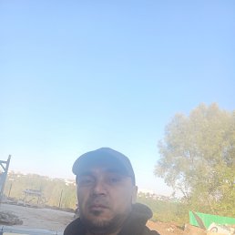 , 29, 