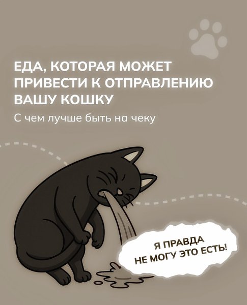 Эти продукты могут навредить вашей кошке! Сохраните карусель - она поможет сберечь здоровье вашего ...