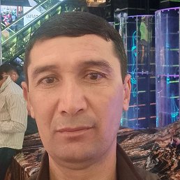 ����, �����������, 38 ���