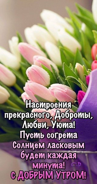 ���� ������, ����� � �������! ������ � ������ ��������! ������, �����������, �����, ������������. ...