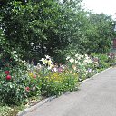 ���� �������, ������� - ��������� 16 ������� 2026 � ������ ���� ����������