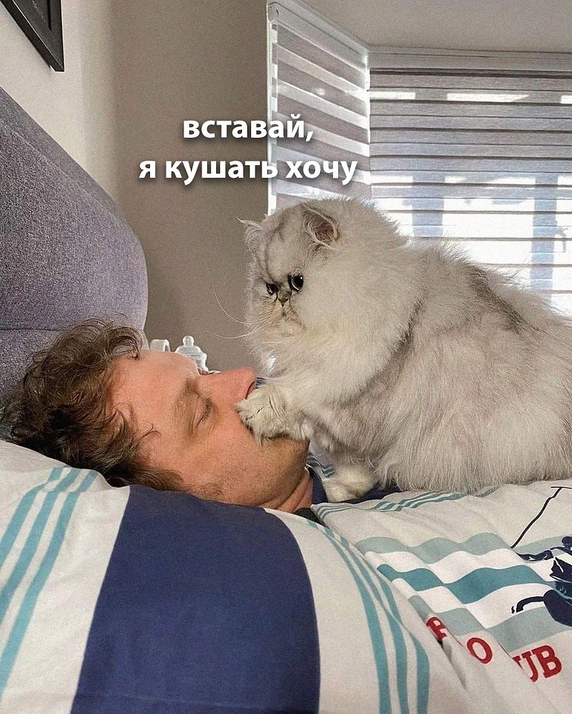 ��� �������� �������� - 30 ������ 2025 � 04:31 - 2