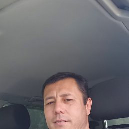 ���� ����, ������, 45 ��� - ��������� 24 ����� 2024