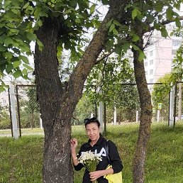 , 51, 