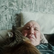 ��������, 58 ���, �����������