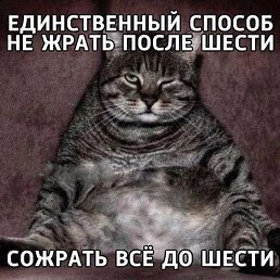 ���� �����, ������������, 58 ��� - ��������� 14 ������� 2026