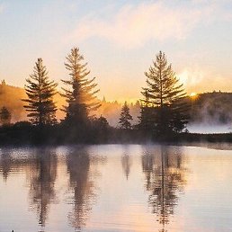 �������, ���������, 47 ���