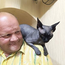 , 53, 
