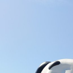 ��������, �������, 50 ���