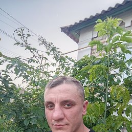 , 32, 