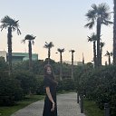 ���� ��������, ������, 18 ��� - ��������� 19 ������ 2026 � ������ ���� ����������