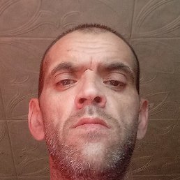 �����, ���������, 43 ����