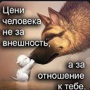 ���� �����, ���������, 61 ��� - ��������� 14 ���� 2025 � ������ ���� ����������